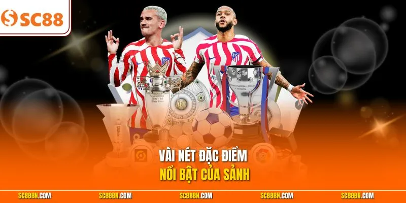 Vài nét đặc điểm nổi bật của sảnh